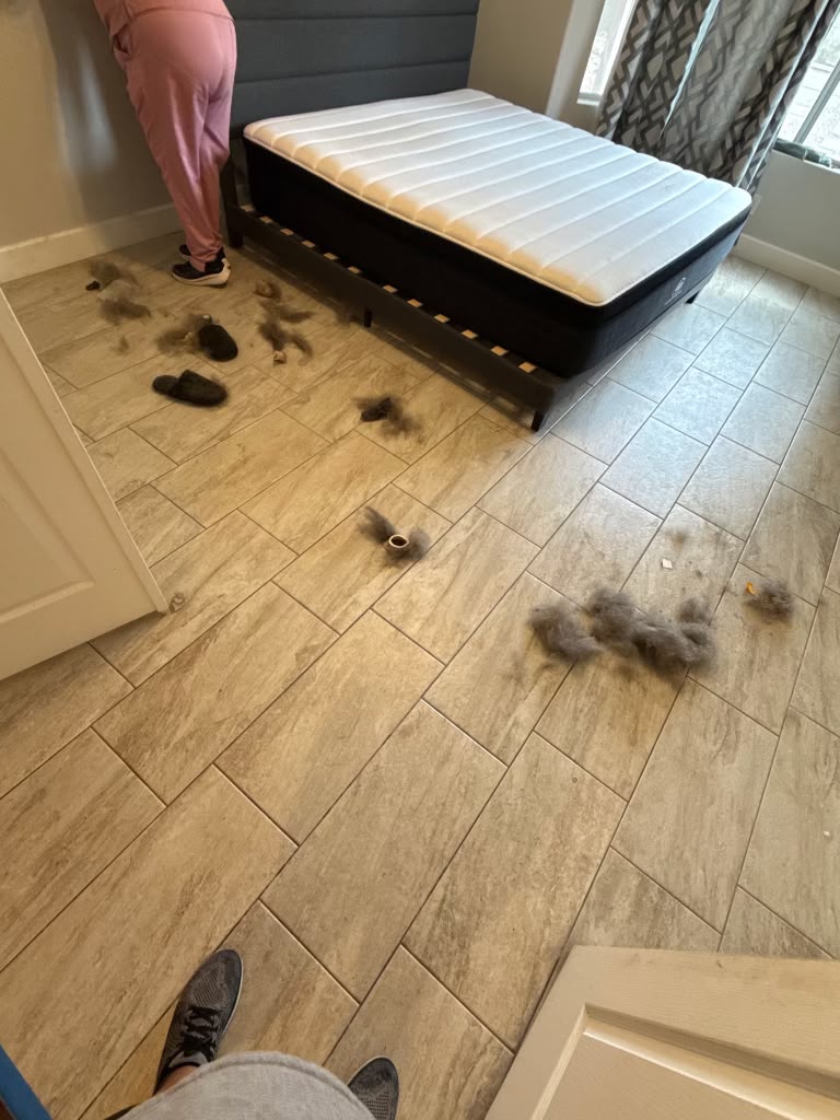 Tile bedroom floor covered in pet hair and dust before cleaning